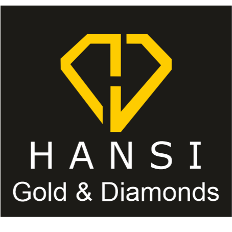 HANSI logo